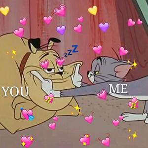 老七把白洁裤子脱了是哪一集
