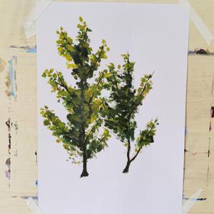 老七把白洁裤子脱了是哪一集
