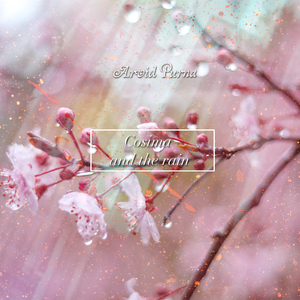 老七把白洁裤子脱了是哪一集
