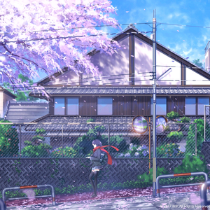 老七把白洁裤子脱了是哪一集
